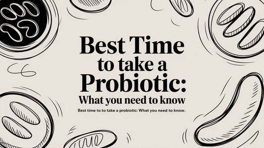 Best Time to Take a Probiotic: What You Need to Know - Beauty Brand