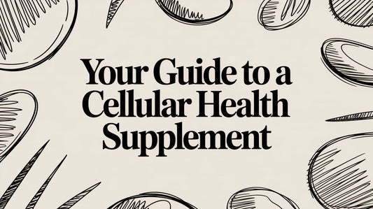 Your Guide to a Cellular Health Supplement