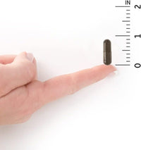 Probiotics for Digestive Health Balance, Primal Defense Ultra Ultimate Formula, 15 Billion CFU and 13 Strains plus Hsos, Vegetarian and Gluten Free, 90 Capsules - Premium Supplements