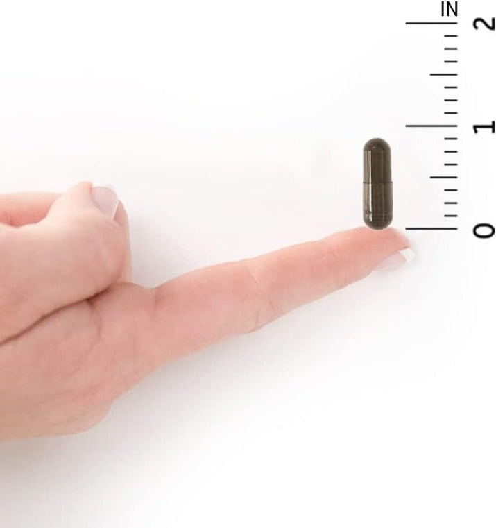 Probiotics for Digestive Health Balance, Primal Defense Ultra Ultimate Formula, 15 Billion CFU and 13 Strains plus Hsos, Vegetarian and Gluten Free, 90 Capsules - Premium Supplements