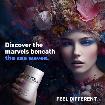 Raw Wildcrafted Irish Sea Moss, Bladderwrack, Burdock Root, Spirulina & Bioperine® Pepper, 120 Ct