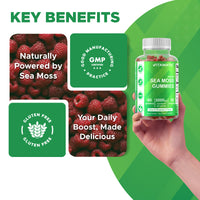 Irish Sea Moss Gummies - 3000 Mg - 60 Vegan Gummies - Made with Bladderwrack & Burdock Root - Seamoss Supplement for Thyroid, Energy, Immune Support - Premium Supplements