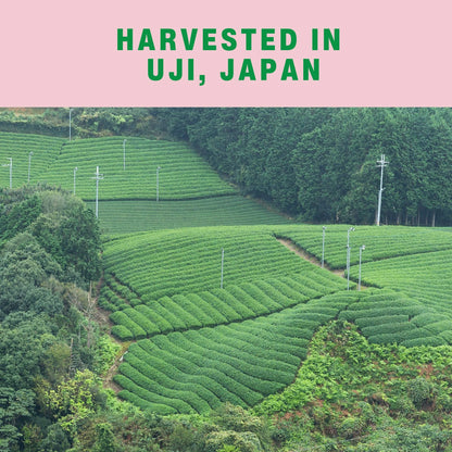 Matcha Organic Japanese Ceremonial Matcha Green Tea Powder, 1 Oz, Vegan, Naturally Caffeinated