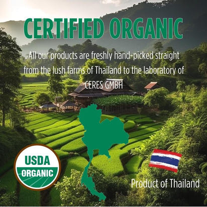 Organic Purple Hibiscus and Butterfly Pea Flower Tea - Premium Supplements