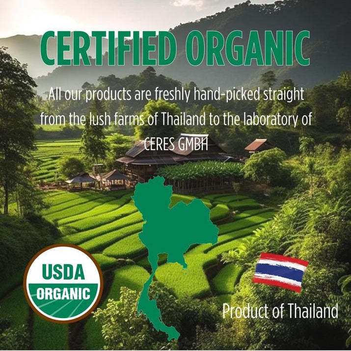 Organic Purple Hibiscus and Butterfly Pea Flower Tea - Premium Supplements