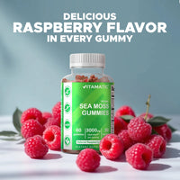 Irish Sea Moss Gummies - 3000 Mg - 60 Vegan Gummies - Made with Bladderwrack & Burdock Root - Seamoss Supplement for Thyroid, Energy, Immune Support - Premium Supplements