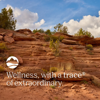 Minerals Magnesium Glycinate Powder - Daily Magnesium Powder for Sleep Support - Calming Bedtime Drink - Natural & Gentle - Grape - 180G (60 Servings)