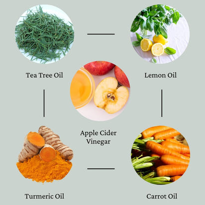 Charcoal Underarm Detox Soap, Activated Charcoal & Tea Tree, Detoxifying Soap, Activated Charcoal Odor Removal, Brightening Underarm Soap, Hyperpigmentation, Dark Spot Remover 6 Pack (1 Ounce Each) - Premium Supplements