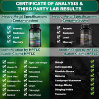 Sea Moss & Shilajit Dynamic Vitality Bundle - 60 Count - Premium Supplements