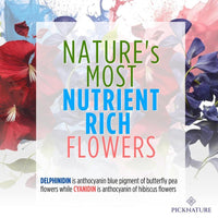 Organic Purple Hibiscus and Butterfly Pea Flower Tea - Premium Supplements