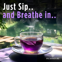 Organic Purple Hibiscus and Butterfly Pea Flower Tea - Premium Supplements