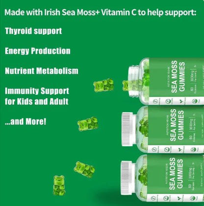 Seaweed Jelly Delight - Premium Supplements