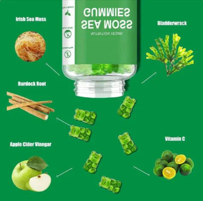 Seaweed Jelly Delight - Premium Supplements