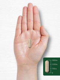 Ashwagandha Capsules | 3000Mg Supplement | 300 Pills | Non - Gmo, Gluten Free | by - Premium Supplements