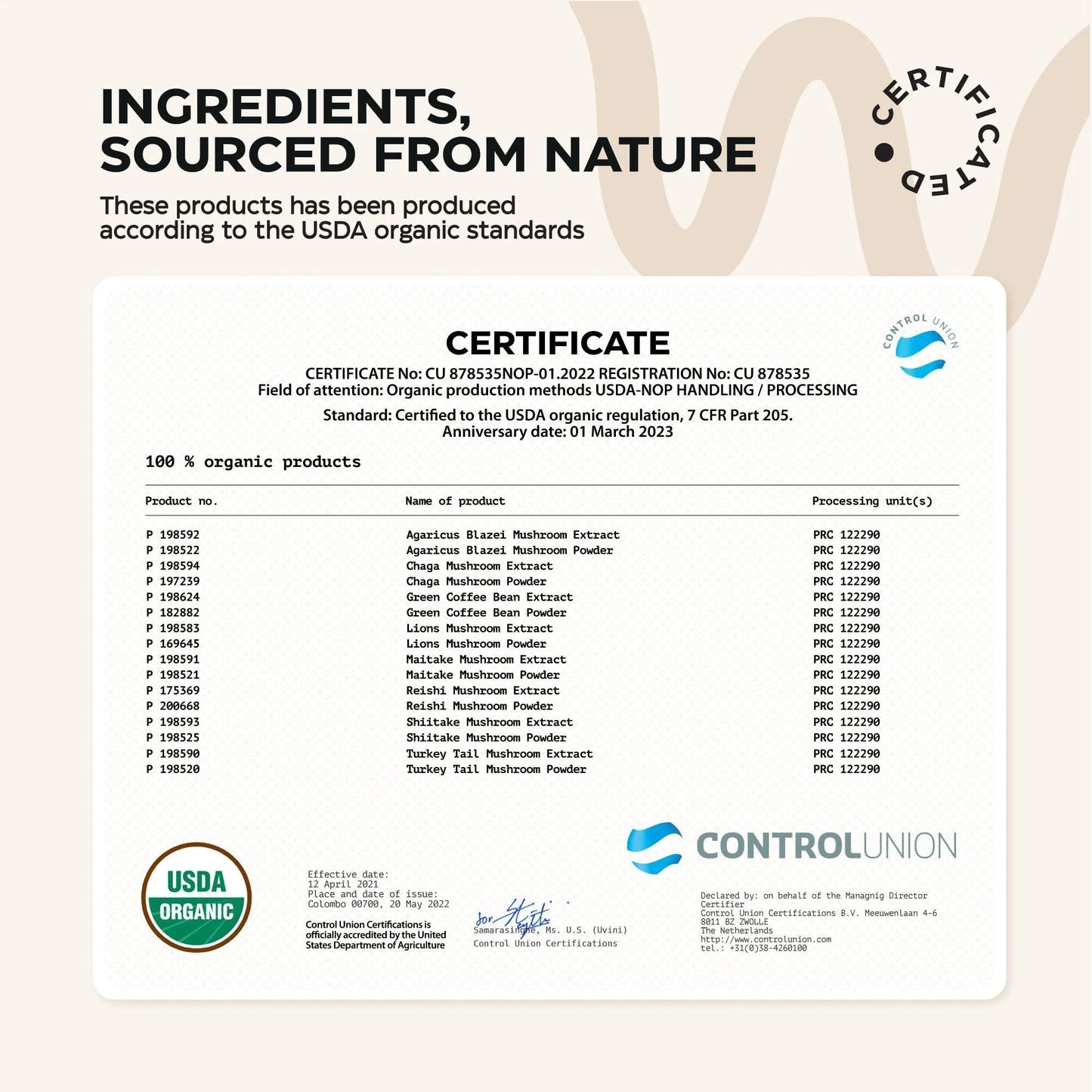 Mushroom Coffee 9 Mushroom Adaptogen Mix Lions Mane Chaga Turkey Tail Reishi