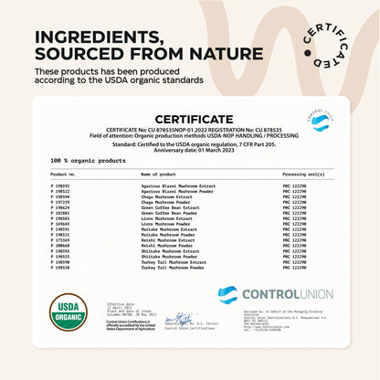 Mushroom Coffee 9 Mushroom Adaptogen Mix Lions Mane Chaga Turkey Tail Reishi