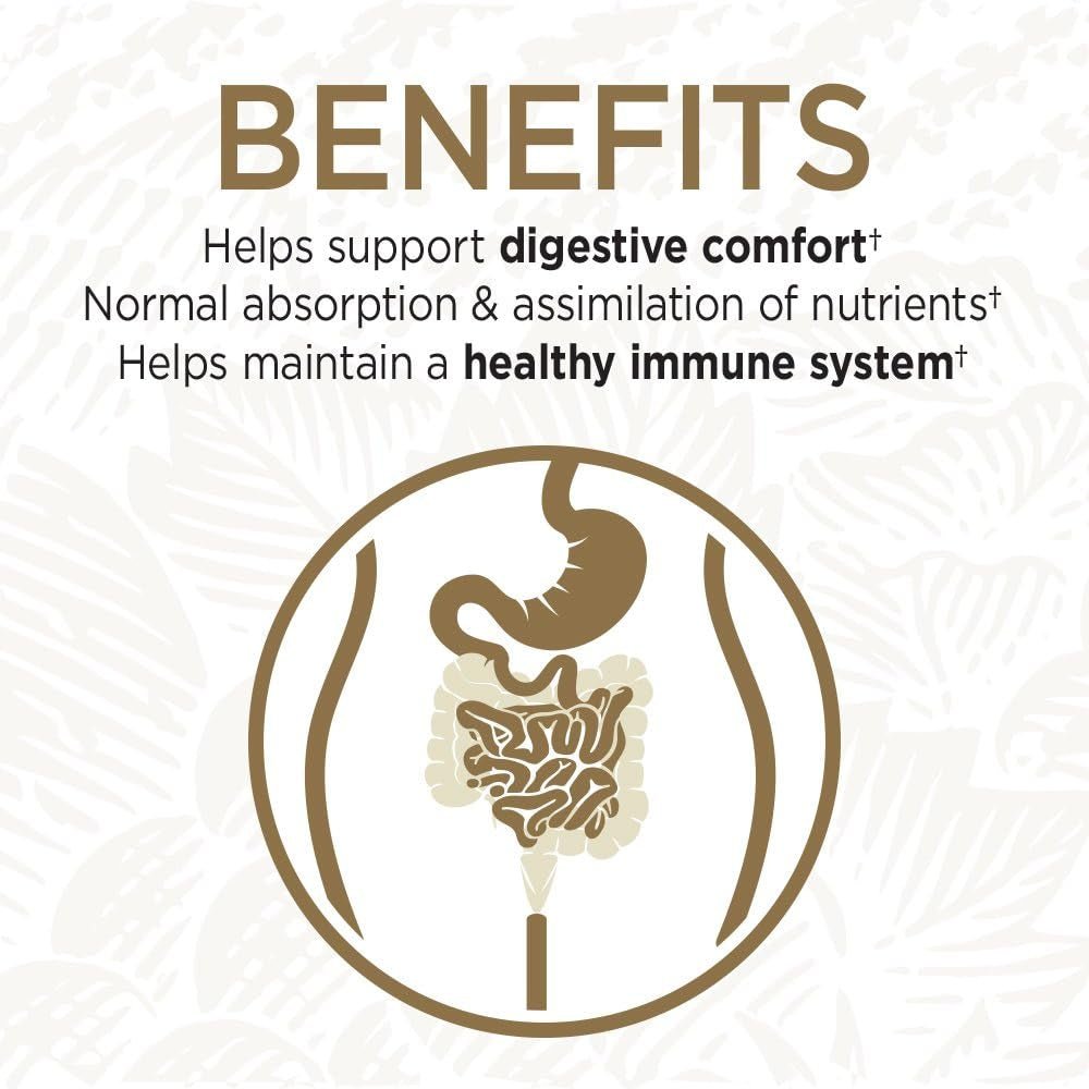 Probiotics for Digestive Health Balance, Primal Defense Ultra Ultimate Formula, 15 Billion CFU and 13 Strains plus Hsos, Vegetarian and Gluten Free, 90 Capsules - Premium Supplements