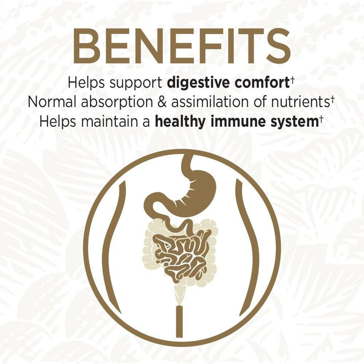 Probiotics for Digestive Health Balance, Primal Defense Ultra Ultimate Formula, 15 Billion CFU and 13 Strains plus Hsos, Vegetarian and Gluten Free, 90 Capsules - Premium Supplements