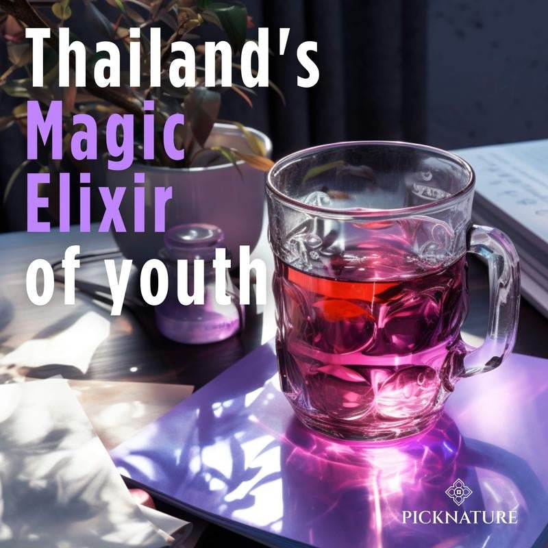 Organic Purple Hibiscus and Butterfly Pea Flower Tea - Premium Supplements