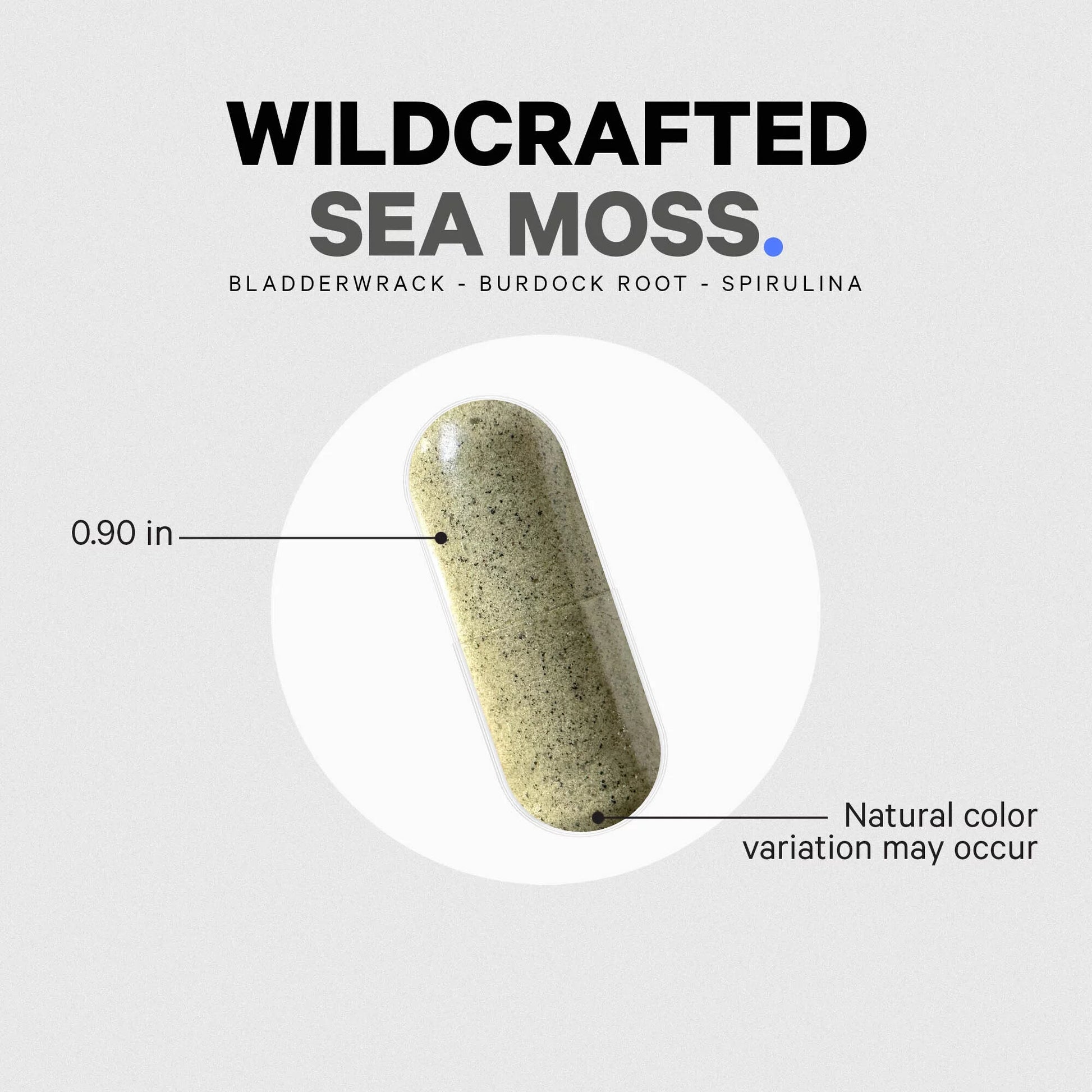 Raw Wildcrafted Irish Sea Moss, Bladderwrack, Burdock Root, Spirulina & Bioperine® Pepper, 120 Ct